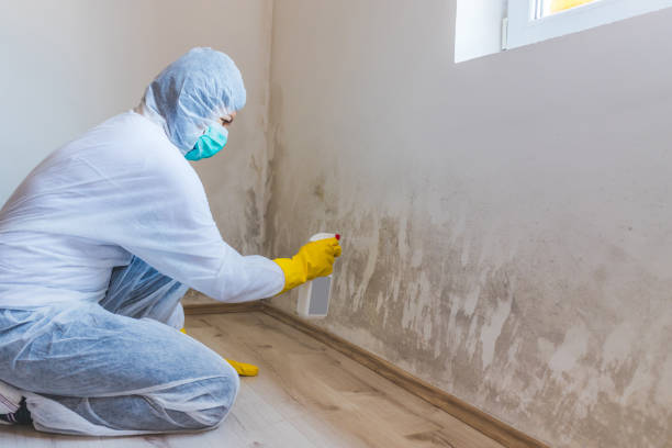 Hvac And Air Duct Mold Remediation inspection of HVAC system in Ridge